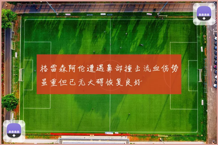 格雷森阿伦遭遇鼻部撞击流血伤势虽重但已无大碍恢复良好