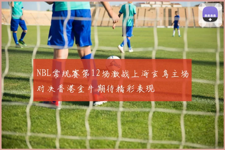 NBL常规赛第12场激战上海玄鸟主场对决香港金牛期待精彩表现